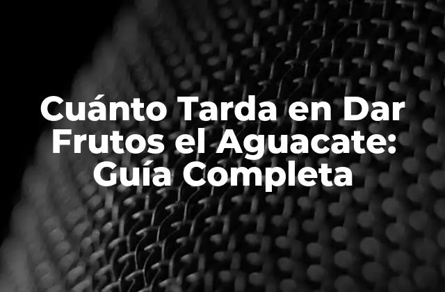 Cuánto Tarda en Dar Frutos el Aguacate: Guía Completa 2 Factores que Afectan el Tiempo de Maduración del Aguacate