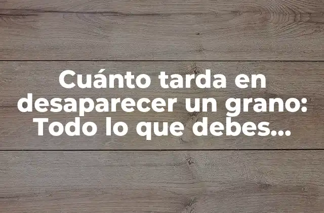 Cuánto Tarda en Desaparecer un Grano: Todo Lo que Debes Saber