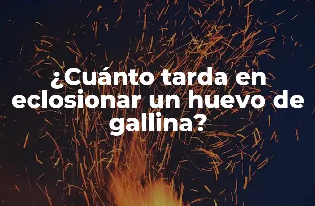 ¿cuánto Tarda en Eclosionar un Huevo de Gallina?