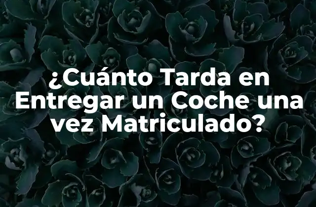 ¿cuánto Tarda en Entregar un Coche una Vez Matriculado?
