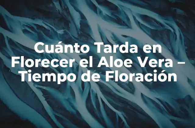 Cuánto Tarda en Florecer el Aloe Vera - Tiempo de Floración 2 Edad del Aloe Vera y Floración