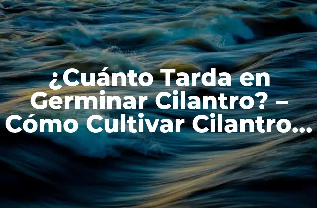 ¿cuánto Tarda en Germinar Cilantro? – Cómo Cultivar Cilantro con Éxito