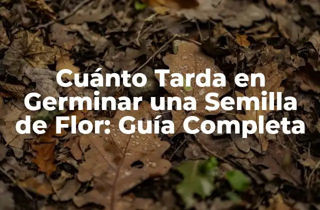 Cuánto Tarda en Germinar una Semilla de Flor: Guía Completa