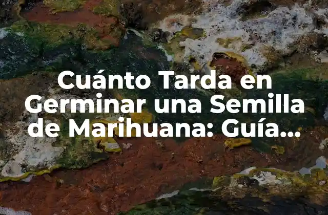 Cuánto Tarda en Germinar una Semilla de Marihuana: Guía Completa