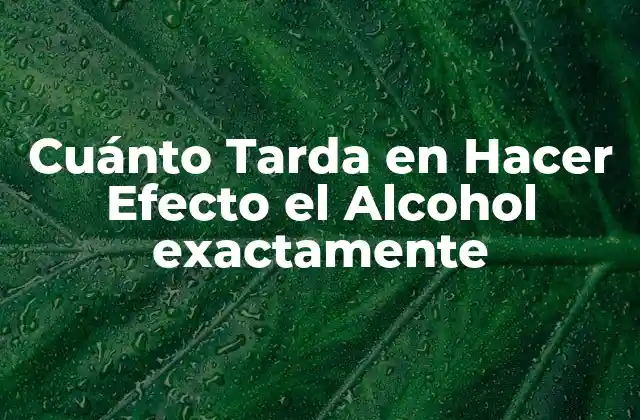 ¿Cómo se Absorbe el Alcohol en el Cuerpo?