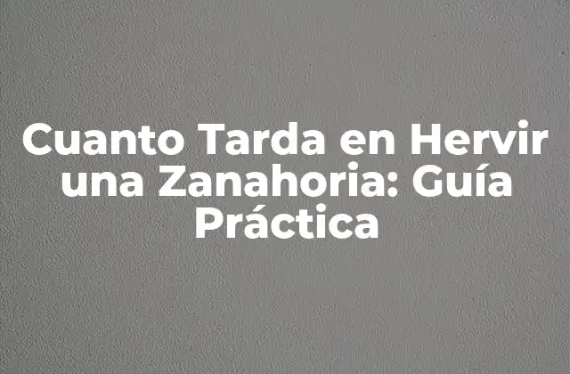 Factores que Afectan el Tiempo de Cocción de las Zanahorias