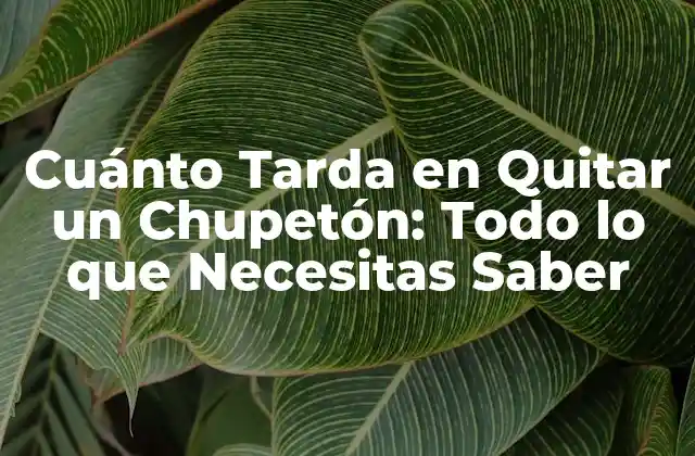 Cuánto Tarda en Quitar un Chupetón: Todo Lo que Necesitas Saber