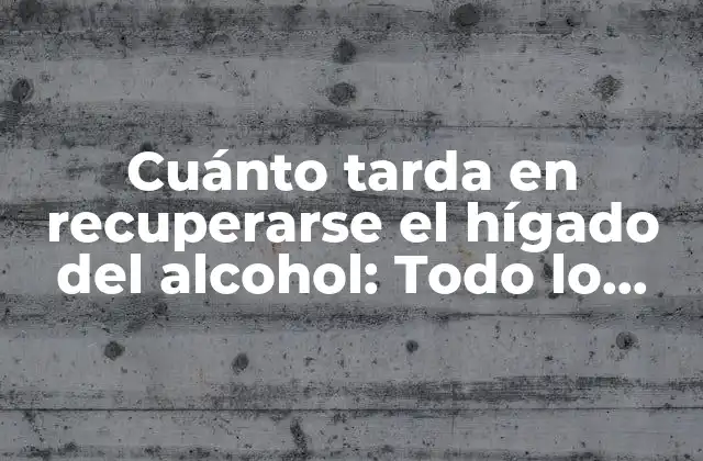 Cuánto Tarda en Recuperarse el Hígado Del Alcohol: Todo Lo que Debes Saber