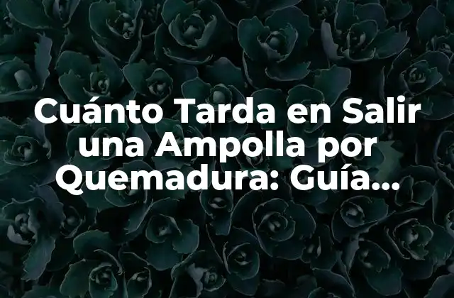 Cuánto Tarda en Salir una Ampolla por Quemadura: Guía Completa