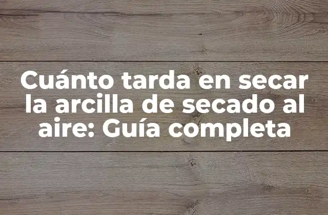 Cuánto Tarda en Secar la Arcilla de Secado Al Aire: Guía Completa