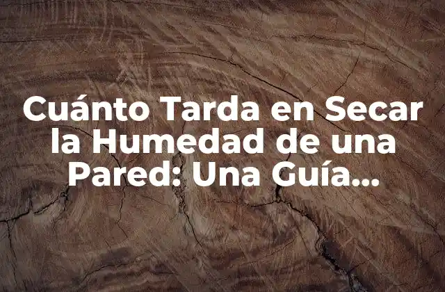 Causas de la Humedad en las Paredes