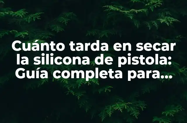 Cuánto Tarda en Secar la Silicona de Pistola: Guía Completa para Proyectos de Bricolaje y Restauración