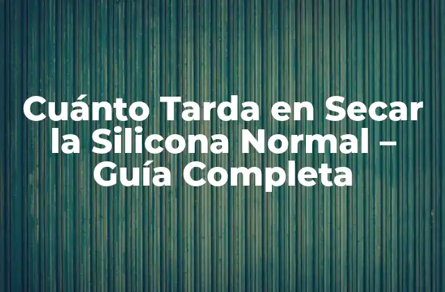 Cuánto Tarda en Secar la Silicona Normal – Guía Completa