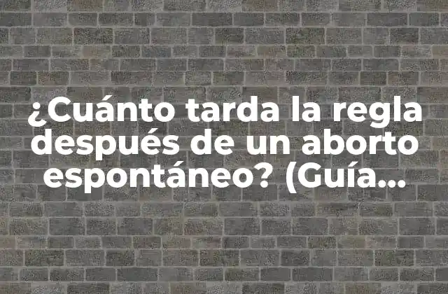 ¿cuánto Tarda la Regla Después de un Aborto Espontáneo? (guía Completa)
