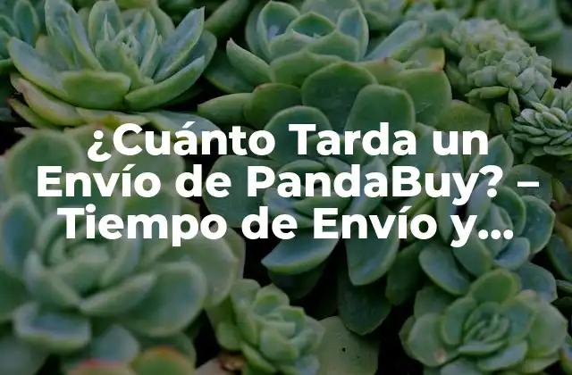 ¿cuánto Tarda un Envío de Pandabuy? – Tiempo de Envío y Entrega