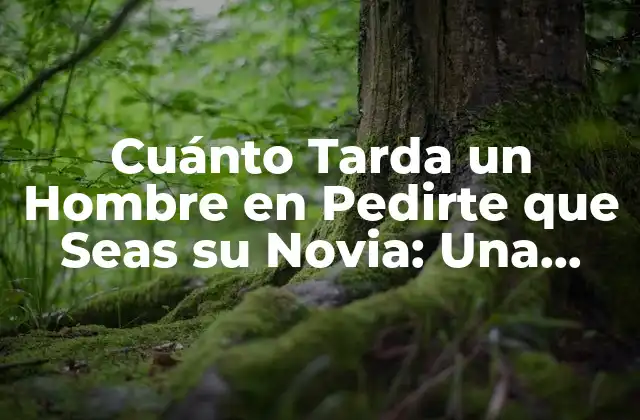 Cuánto Tarda un Hombre en Pedirte que Seas Su Novia: una Guía para Entender el Punto de Vista Masculino