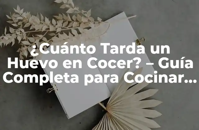 ¿cuánto Tarda un Huevo en Cocer? – Guía Completa para Cocinar Huevos Perfectos