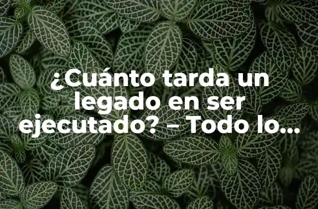 ¿cuánto Tarda un Legado en Ser Ejecutado? – Todo Lo que Debes Saber