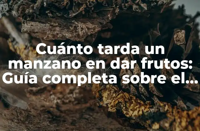 Cuánto Tarda un Manzano en Dar Frutos: Guía Completa sobre el Crecimiento de Manzanos