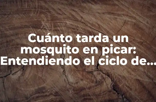 Cuánto Tarda un Mosquito en Picar: Entendiendo el Ciclo de Alimentación de Estos Insectos
