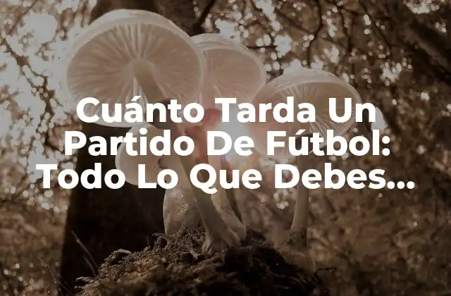 Cuánto Tarda un Partido de Fútbol: Todo Lo que Debes Saber