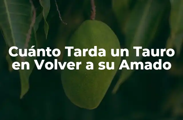 Cuánto Tarda un Tauro en Volver a Su Amado