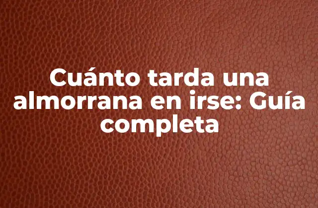 Cuánto Tarda una Almorrana en Irse: Guía Completa