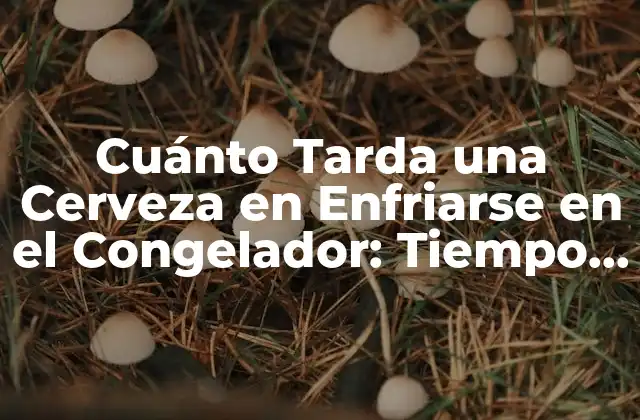 Cuánto Tarda una Cerveza en Enfriarse en el Congelador: Tiempo de Enfriamiento y Consejos