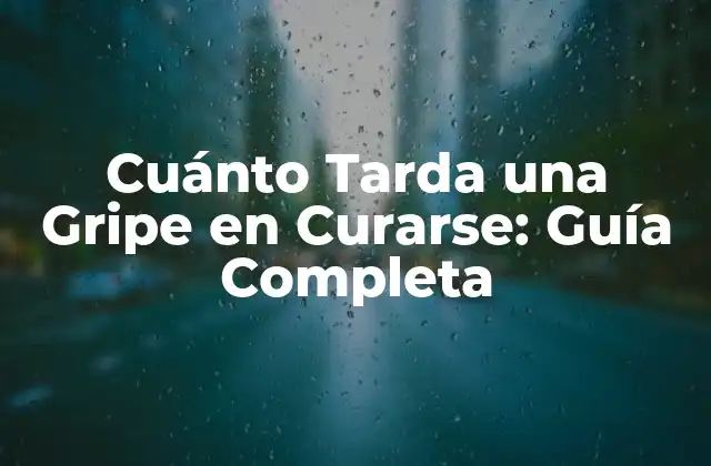 Cuánto Tarda una Gripe en Curarse: Guía Completa