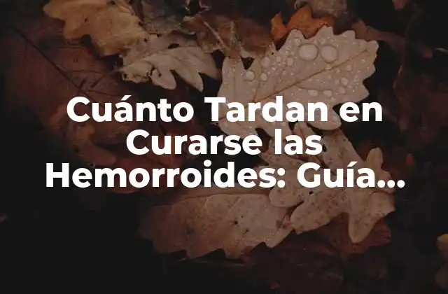 Cuánto Tardan en Curarse las Hemorroides: Guía Completa