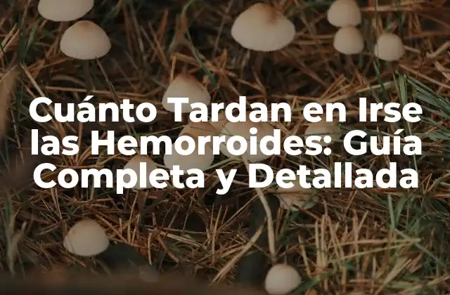 Cuánto Tardan en Irse las Hemorroides: Guía Completa y Detallada