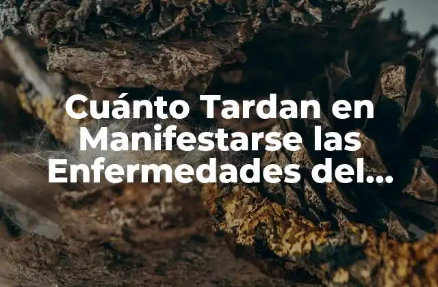 Cuánto Tardan en Manifestarse las Enfermedades Del Trabajo (ets)