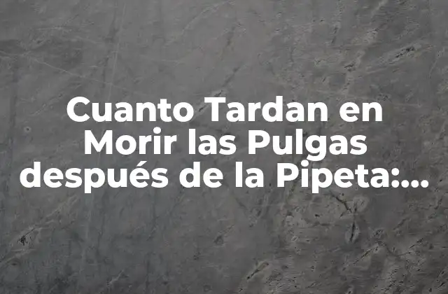 Cuanto Tardan en Morir las Pulgas Después de la Pipeta: Guía Completa