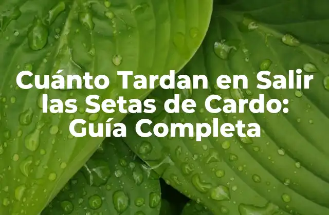 Cuánto Tardan en Salir las Setas de Cardo: Guía Completa