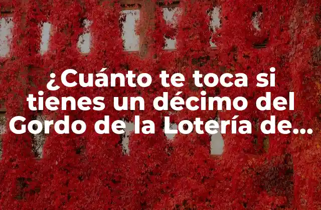 ¿cuánto Te Toca Si Tienes un Décimo Del Gordo de la Lotería de Navidad?