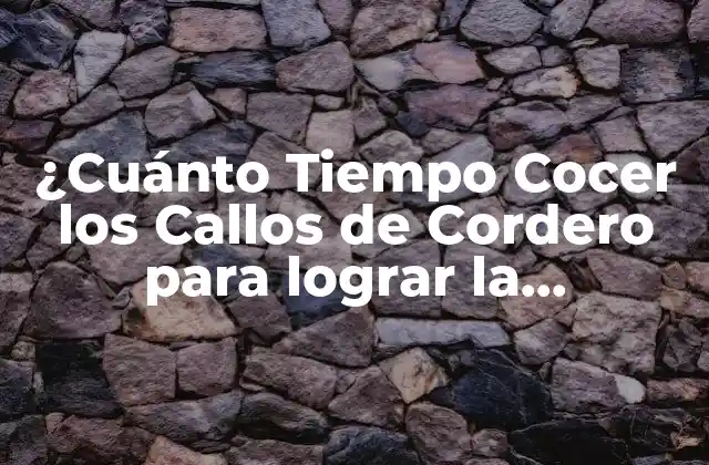 ¿Qué son los Callos de Cordero y Cómo se Preparan?