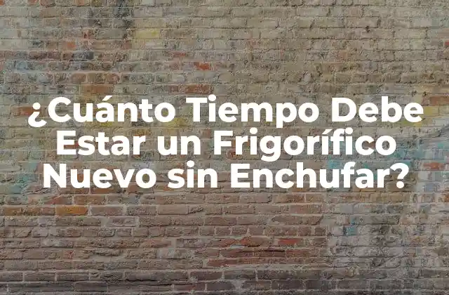 ¿cuánto Tiempo Debe Estar un Frigorífico Nuevo sin Enchufar?