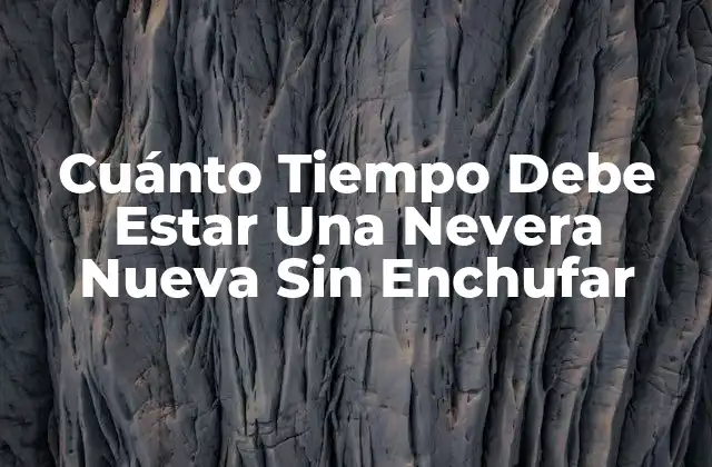 Cuánto Tiempo Debe Estar una Nevera Nueva sin Enchufar