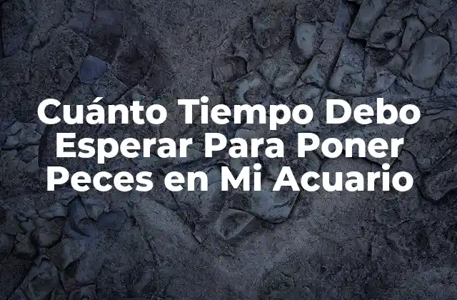 Cuánto Tiempo Debo Esperar para Poner Peces en Mi Acuario