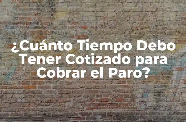 ¿cuánto Tiempo Debo Tener Cotizado para Cobrar el Paro?