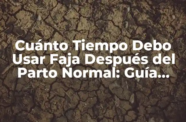 Cuánto Tiempo Debo Usar Faja Después Del Parto Normal: Guía Completa