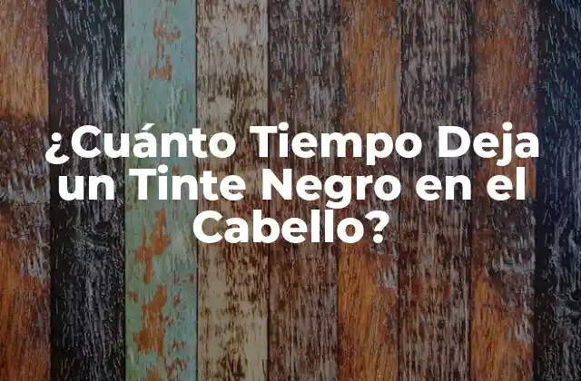 ¿cuánto Tiempo Deja un Tinte Negro en el Cabello? 2 Tipos de Tintes Negros y su Duración