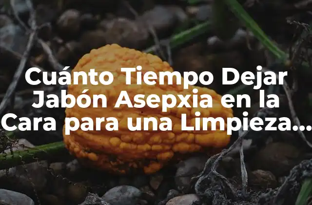 Cuánto Tiempo Dejar Jabón Asepxia en la Cara para una Limpieza Efectiva