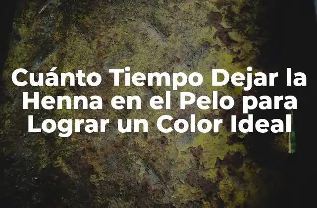 Cuánto Tiempo Dejar la Henna en el Pelo para Lograr un Color Ideal