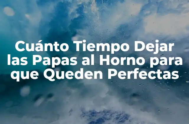 Cuánto Tiempo Dejar las Papas Al Horno para que Queden Perfectas