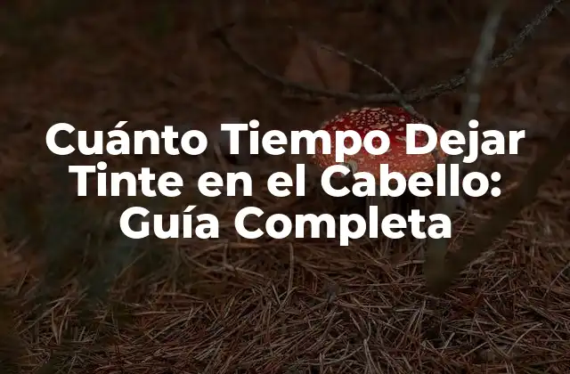 Cuánto Tiempo Dejar Tinte en el Cabello: Guía Completa