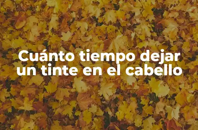 Cuánto Tiempo Dejar un Tinte en el Cabello