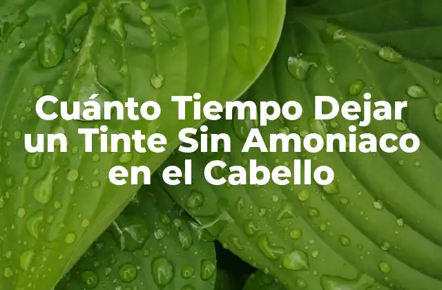 Cuánto Tiempo Dejar un Tinte sin Amoniaco en el Cabello