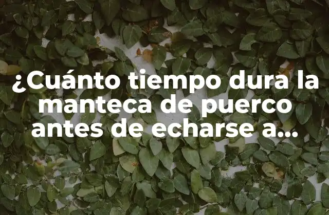 ¿Qué es la manteca de puerco y cómo se produce?