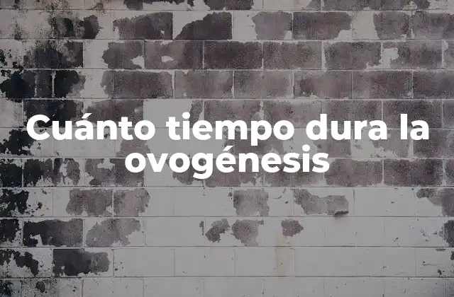 Cuánto Tiempo Dura la Ovogénesis
